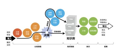 博沃思教育集團(tuán)獲數(shù)千萬(wàn)元A輪融資，清科辰光基金領(lǐng)投驅(qū)動(dòng)大腦科學(xué)教育新紀(jì)元